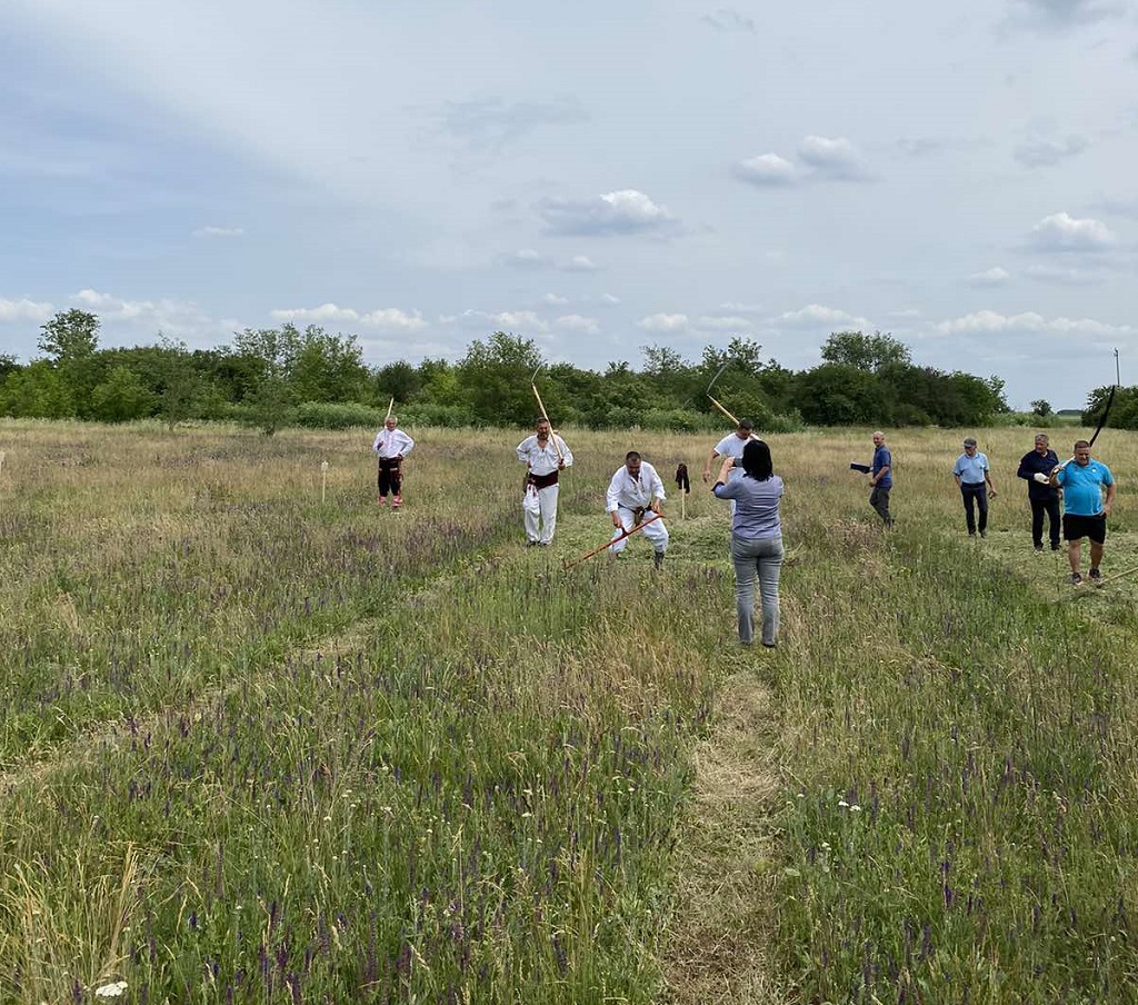 Недељко Керлец из Руменке код Новог Сада побиједио је у конкуренцији 24 косца из Србије, у категорији жена најбоља је била Стојка Беатовић Недељко Керлец из Руменке код Новог Сада побиједио је у конкуренцији 24 косца из Србије, у категорији жена најбоља је била Стојка Беатовић