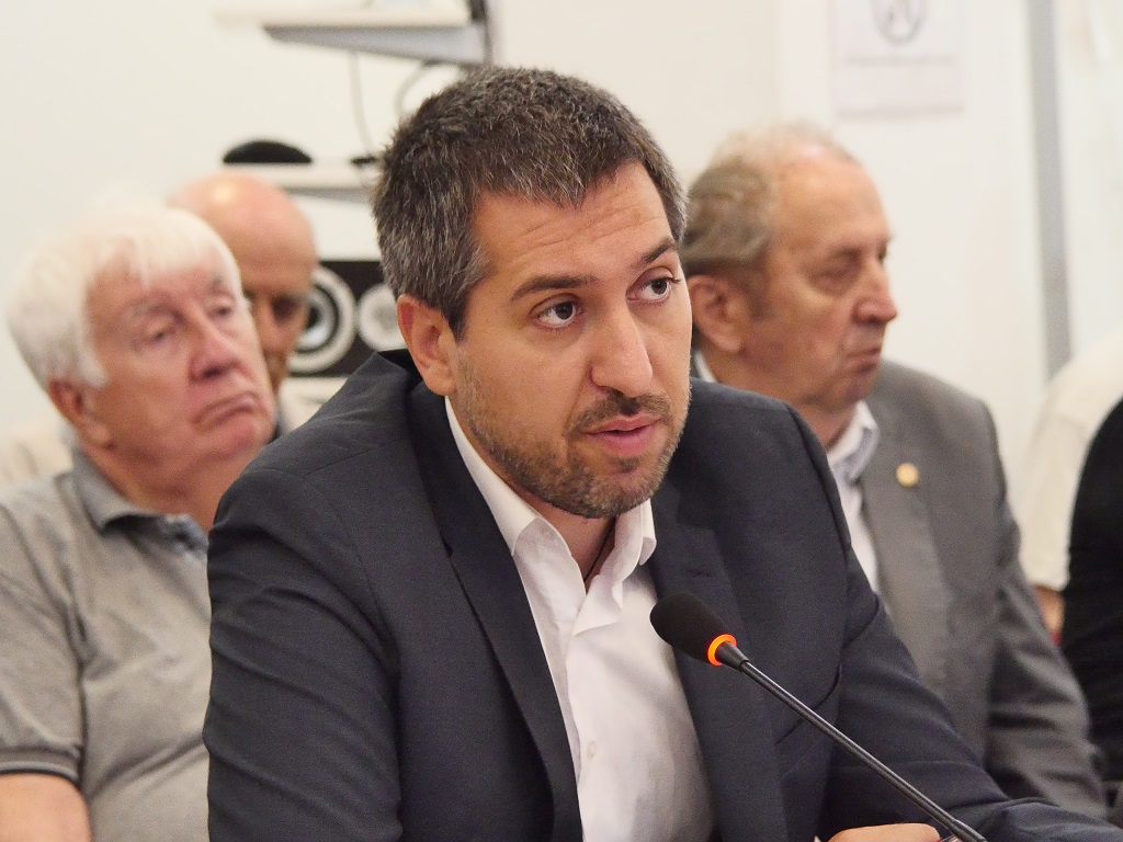 Nemanja Dević, istoričar