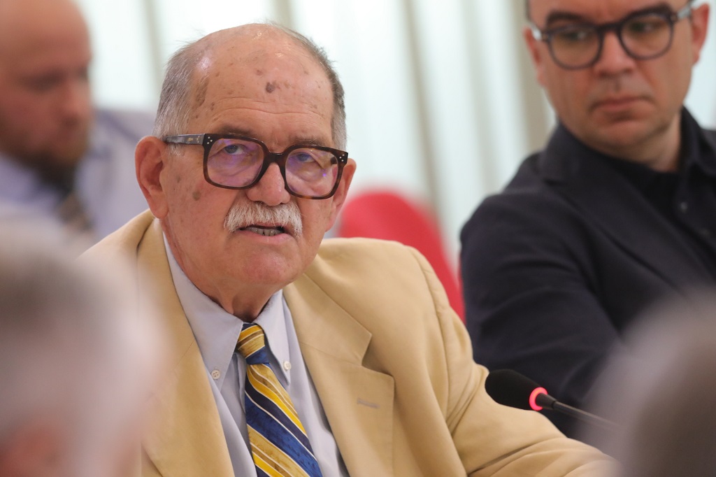 Дарко Танасковић, дипломата