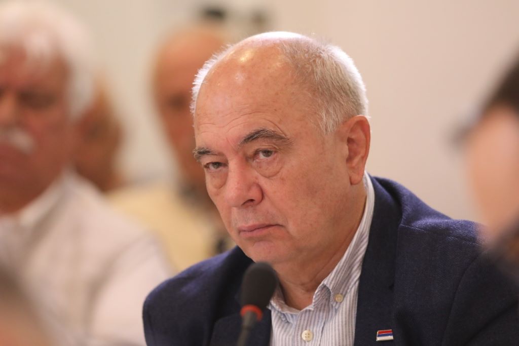 Миломир Степић